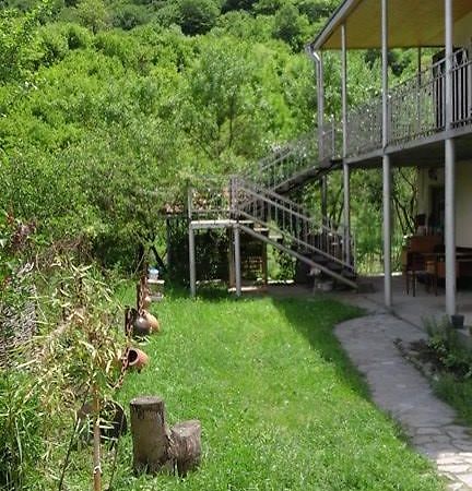 Marine'S Guest House Ananuri Esterno foto