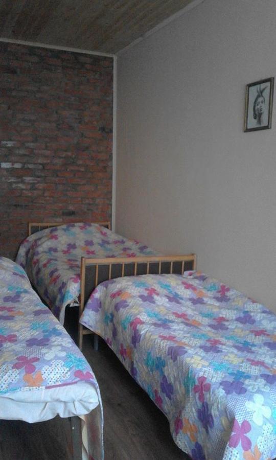 Marine'S Guest House Ananuri Esterno foto