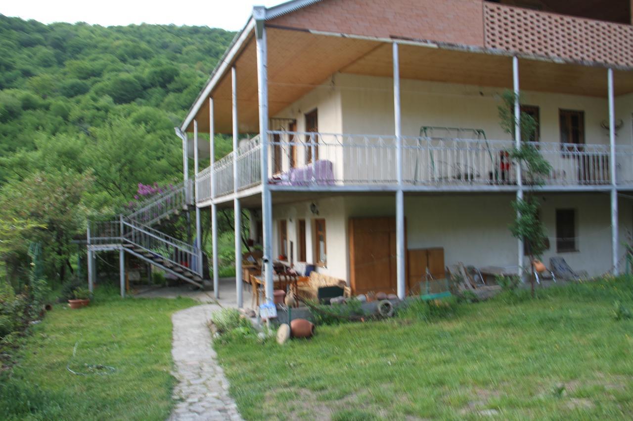 Marine'S Guest House Ananuri Esterno foto